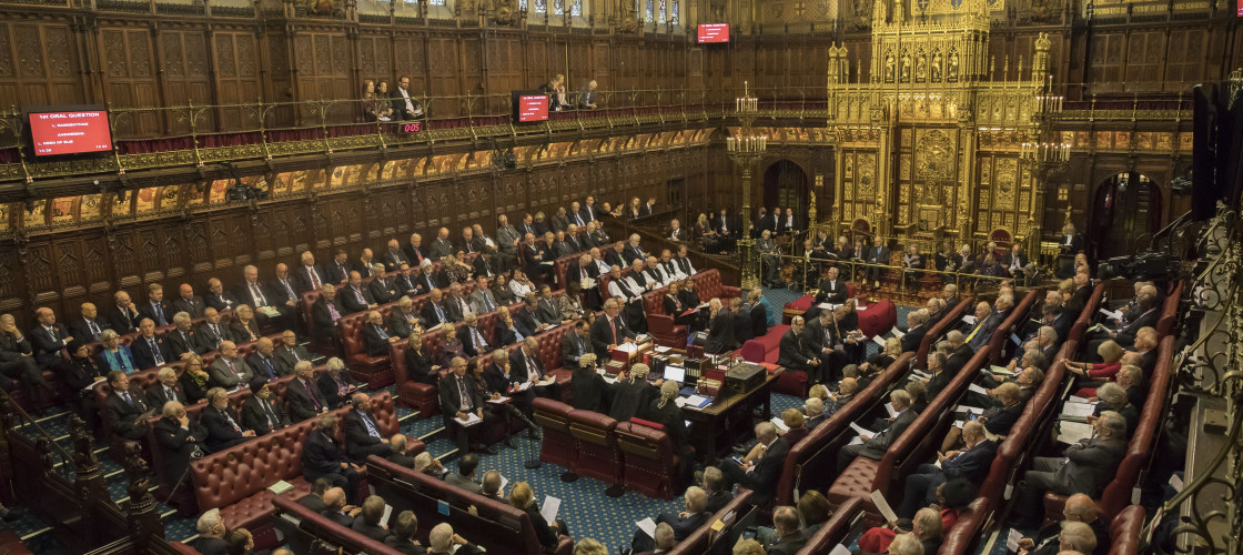 Lords Gallery this week’s key action in the Upper Chamber